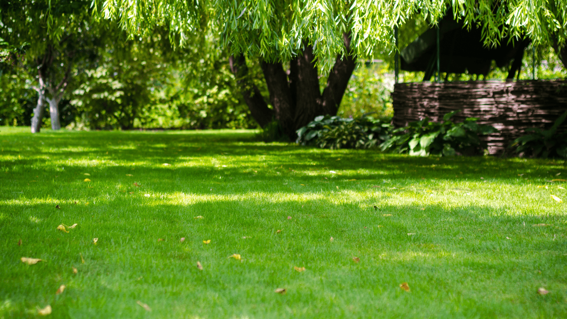 Best Lawn Care in Oklahoma - 3B LAWNS