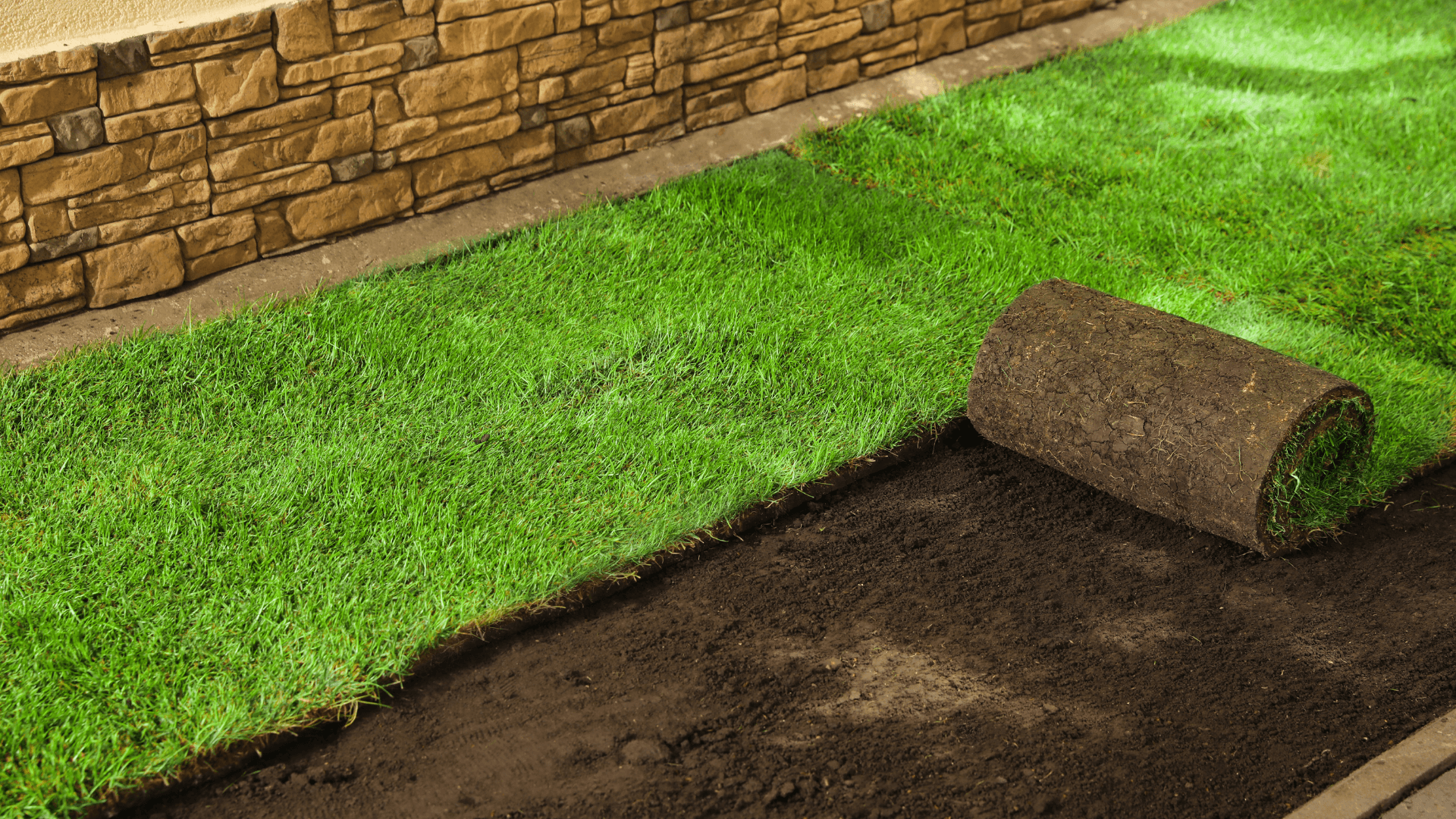 Sod Installation